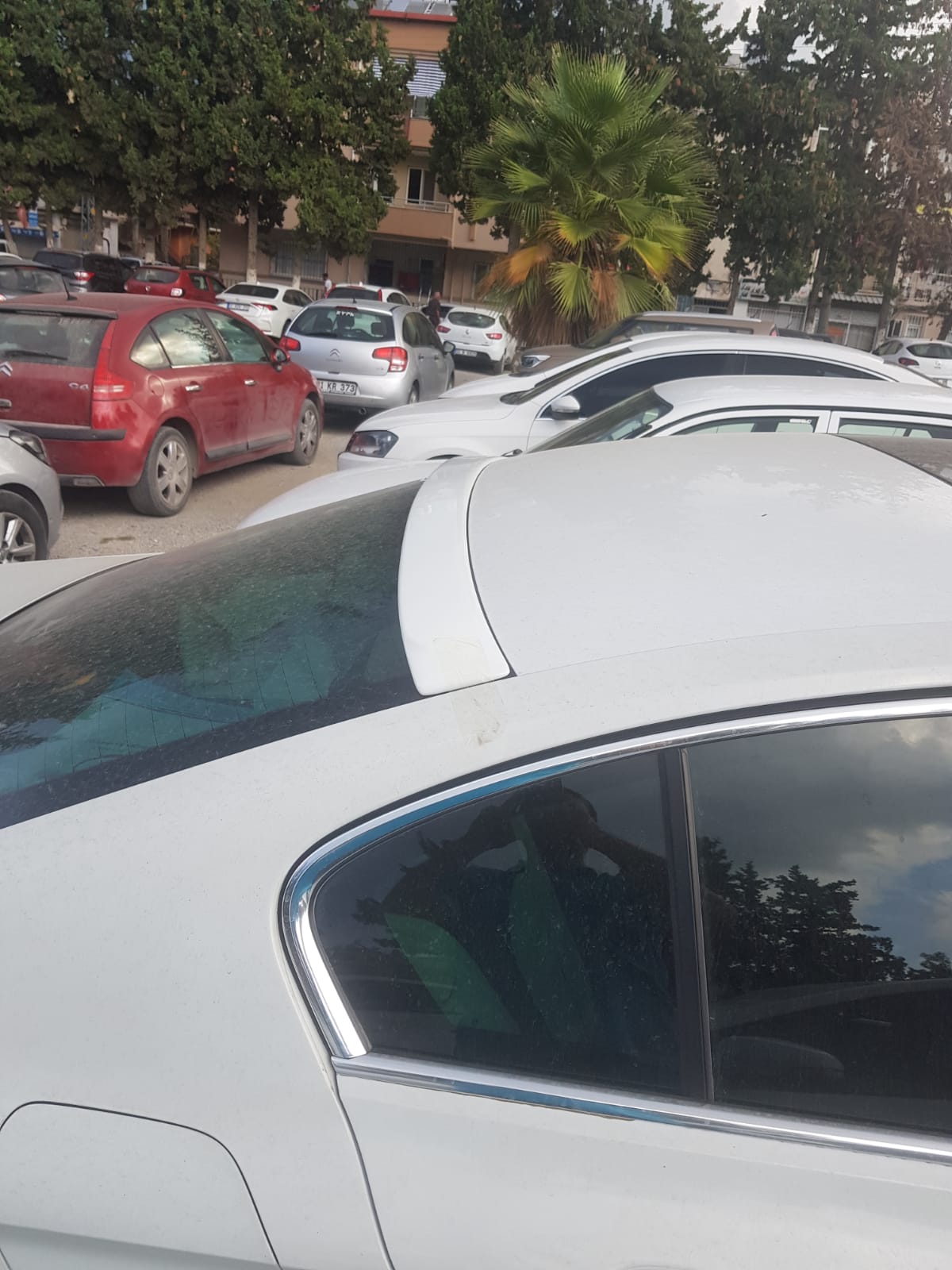 Tavan Spoiler V2